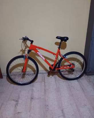bicicletta da trekking 