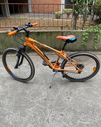bicicletta per bambini lombardo tropea 24 