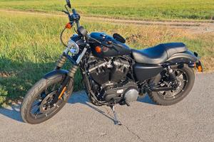 Harley-Davidson Sportster 883 - 2019