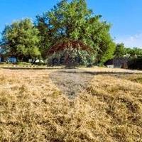Terreno Edificabile - Linguaglossa