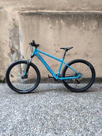bergamont revox 3