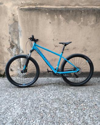 bergamont revox 3