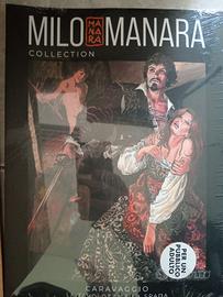 Caravaggio - La tavolozza è la spada 