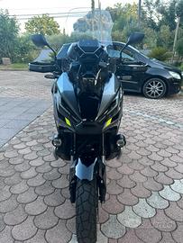 Xadv special ediction 2024