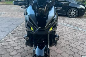 Xadv special ediction 2024