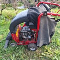 Aspiratore e tritturatore di foglie