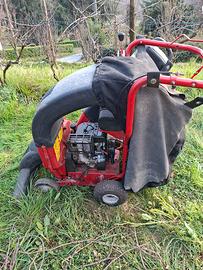 Aspiratore e tritturatore di foglie