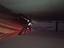 Immagine 19