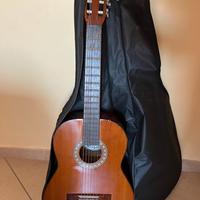 Chitarra Horugel CG150