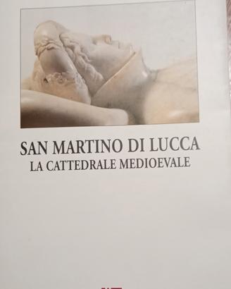 S. MARTINO DI LUCCA LA CATTEDRALE MEDIEVALE