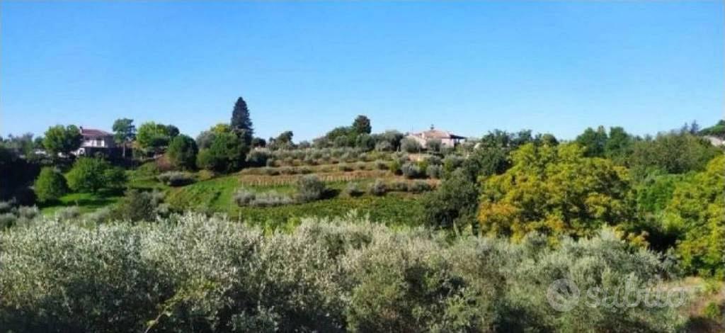 Immobile in asta di 13593 m² a Velletri - Vista 2