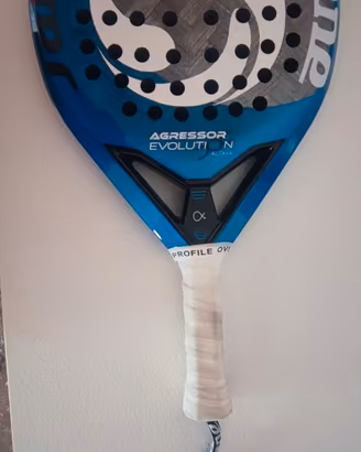 Sane aggressor Evolution alpha