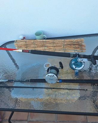 Canne da pesca mulinelli ottimi