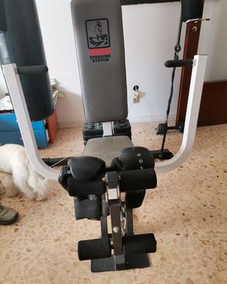 Palestra completa con sacco da box.