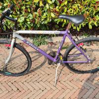 Bicicletta Muontain Bike Eclips