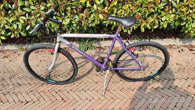 Bicicletta Muontain Bike Eclips