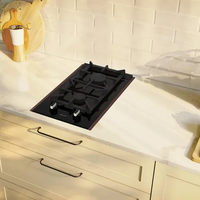 Piano cottura a gas domino Neff N23YS29S0