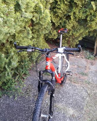 mtb eventuale permuta