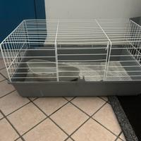 Gabbia per roditori( conigli, porcellino d india)