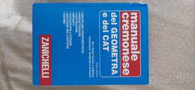 manuale del geometra. Zanichelli 