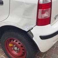 panda 169 incidentata