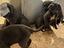 Immagine 6