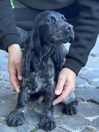 Tutto nero e coccolone