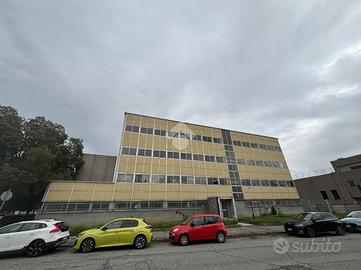 CAPANNONE A VENARIA REALE