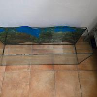 Acquario 100 litri con sfondo