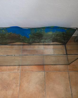 Acquario 100 litri con sfondo