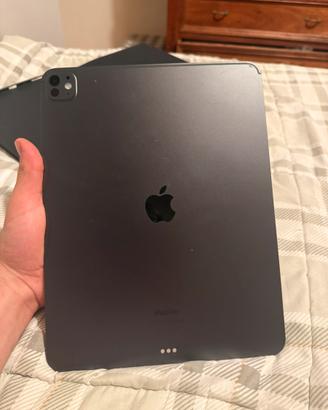 Ipad pro m4 “13 nero siderale batteria 100%