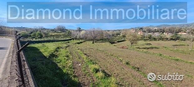 Terreno 15.000 mq a piedimonte etneo - Vista 5