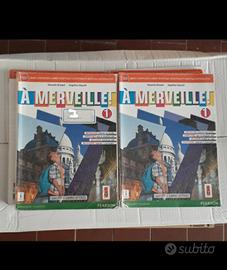 libro A Merveille 1