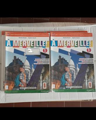 libro A Merveille 1