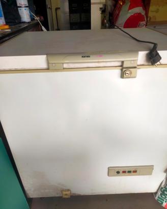 congelatore ignis