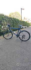 Mountain Bike Mosconi