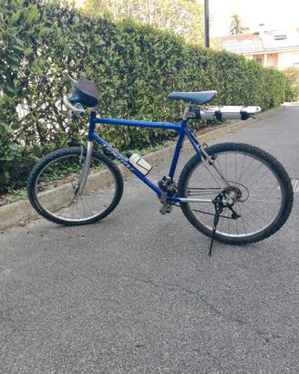 Mountain Bike Mosconi