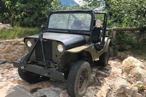 Jeep cj3 b tipo willys