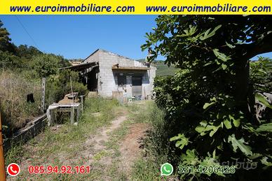 Terreno di 1 ettaro con fabbricato vista mare