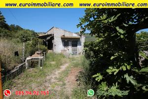 Terreno di 1 ettaro con fabbricato vista mare