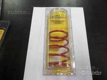 Molla contrasto malossi yamaha majesty 250