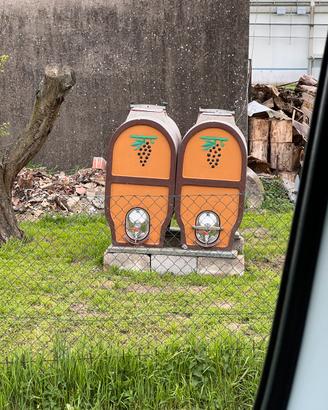 Botti di vino