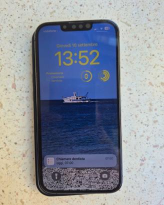 iPhone 13 Pro 256GB – Ricondizionato da Apple R-St