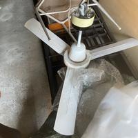 Ventilatore da soffitto vortice
