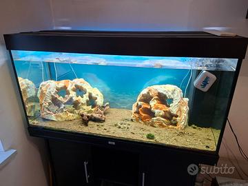 ACQUARIO