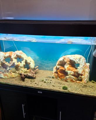 ACQUARIO