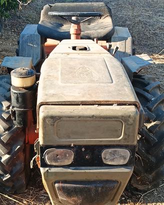Trattore Pasquali 993