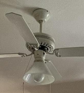Pala a soffitto con luce