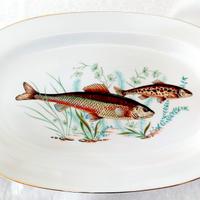 Servizio piatti in porcellana fine Richard Ginori.