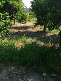 TER. AGRICOLO A SQUILLACE